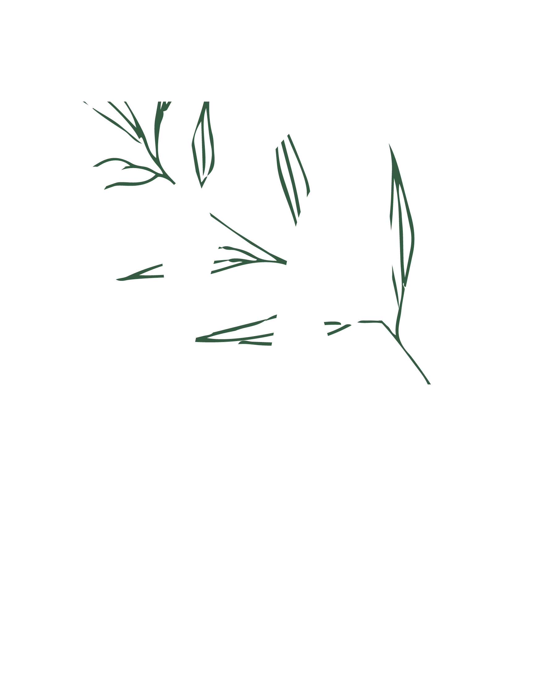 Logo of Minyan Zayit.