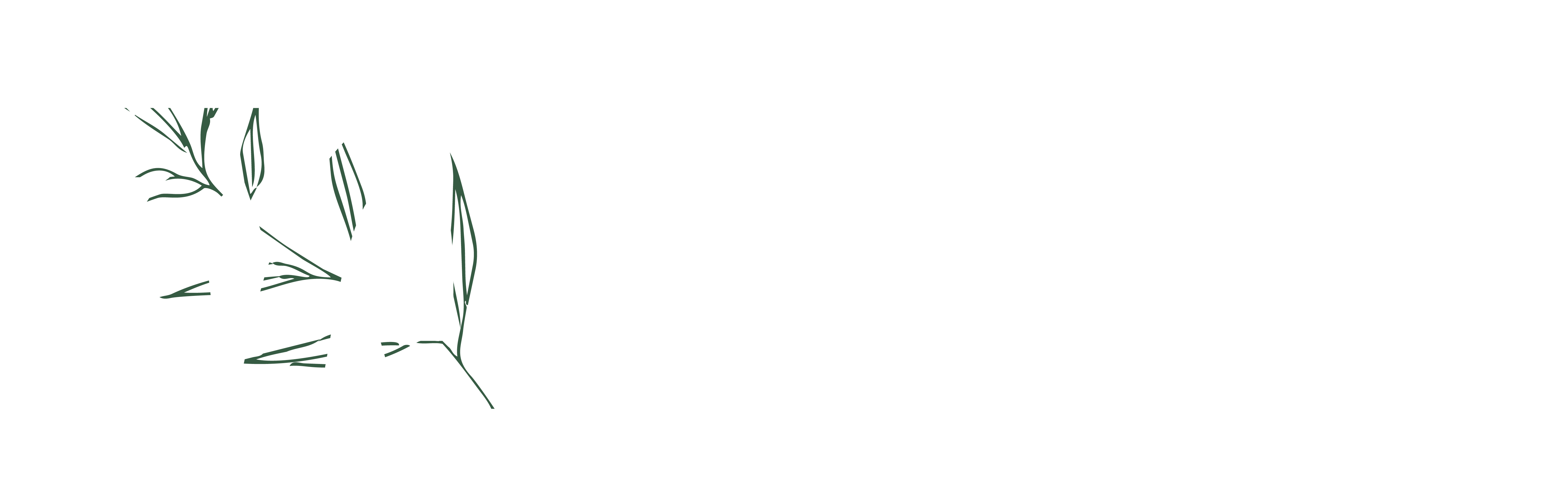 Logo of Minyan Zayit.